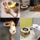 thumbnail image 4 of Comedero para gatos, comedero doble para gatos, comedero elevado para gatos, comedero elevado para gatos, comedero con 2 cuencos de acero inoxidable, 4 of 5