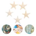 thumbnail image 2 of 5 adornos naturales de estrellas de mar, decoración con temática oceánica, accesorios para fotos, decoración para fiestas y hogar., 2 of 7