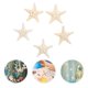 thumbnail image 2 of 5 adornos naturales de estrellas de mar, decoración con temática oceánica, accesorios para fotos, decoración para fiestas y hogar., 2 of 7