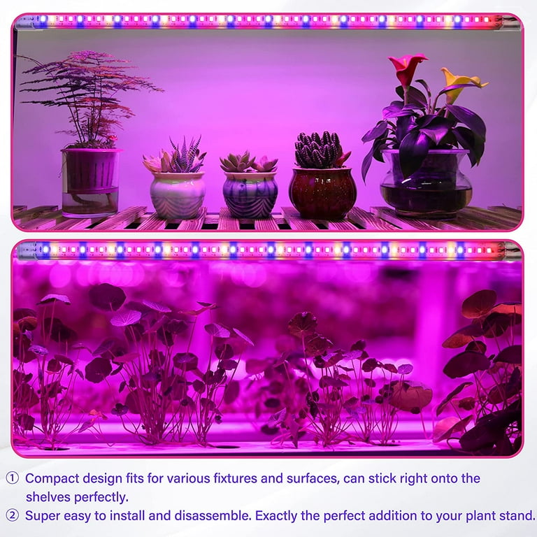 Ipower led 2024 grow light