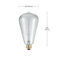thumbnail image 4 of Globe Electric 60W Vintage Edison S-Type Clear Glass Dimmable Incandescent Light Bulb, 83008, 4 of 4