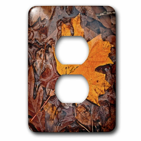 3dRose, Autumn Leaf, 2 plug outlet cover