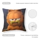 thumbnail image 5 of Garfield Fundas de almohada de terciopelo con tema, regalos de funda de almohada, decoración para el hogar, cojín de lanzar, regalo de cumpleaños para fans y parejas. 45cm x 45cm., 5 of 6
