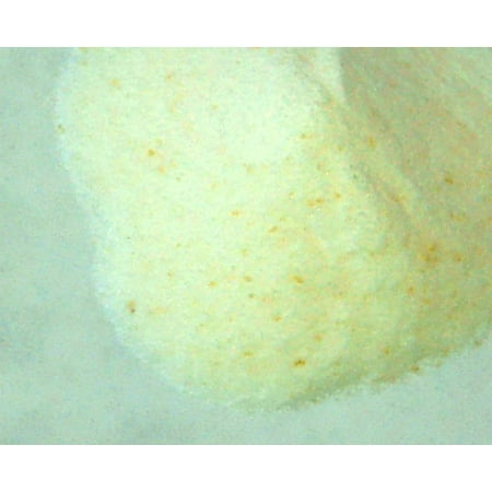 Lactobacillus Acidophilus Probiotic Powder 12