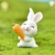 thumbnail image 2 of 1 paquete No 4 Zanahoria Lindo Animal Conejo Micro Paisaje Decoración Resina ANGGREK Otros, 2 of 8