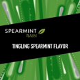 thumbnail image 4 of Wrigley's 5 Gum Spearmint Rain (15 ct, 12 pk.), 4 of 4