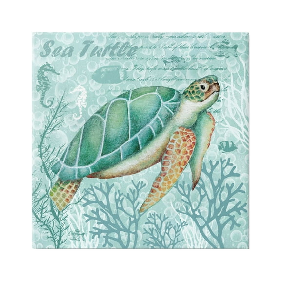 Stupell Industries Sea Turtle Detailed Coral Silhouettes Fancy Script Graphic Art Gallery Wrapped Canvas Print Wall Art, Design by Emma Leach