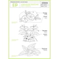 thumbnail image 2 of Crema de manos La Compagnie de Provence Extra Pure 30 ml, 2 of 3
