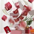 thumbnail image 2 of Surprise Gift Box Merry Christmas Surprise Gift Boxes for Money and Birthday Pop-Up Gift Box (10 Bo, 2 of 5