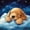 Blue 02, variant on Homewish Lovely Golden Retriever Zipper Twin Comforter Sets with Fitted Sheet and 2 Pillowcases,Cartoon Dog Zipper Bedding Set,White Clouds Decor,Navy Blue Reversible,4pcs