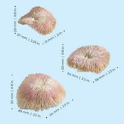 biOrb Plate Coral Set - Light Pink Aquarium Decor