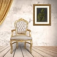 thumbnail image 3 of Vision Studio 12x14 Gold Ornate Wood Framed with Double Matting Museum Art Print Titled - Foliage Dramatique I, 3 of 4