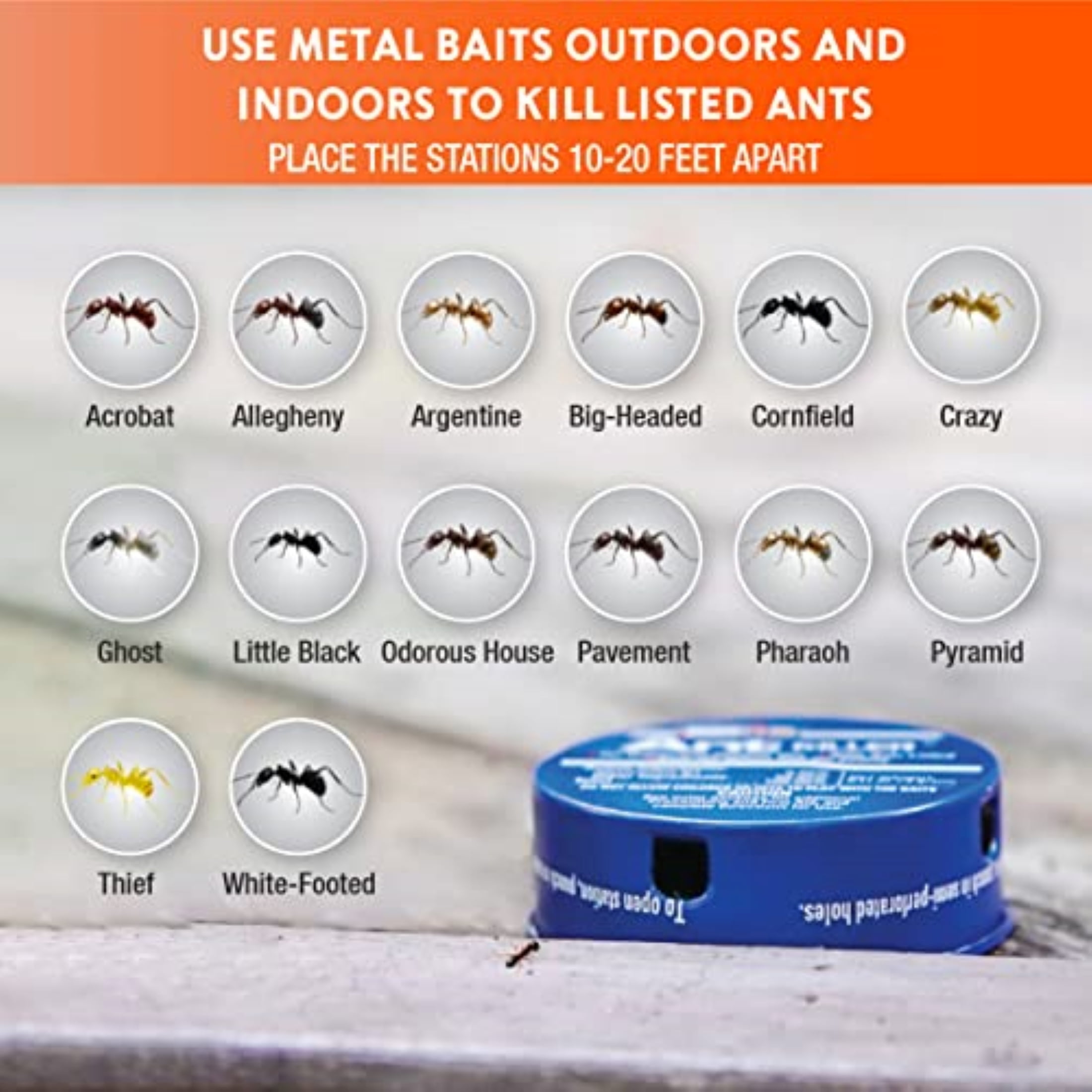 Home Plus Ant Killer (4-Pack), Metal Ant Traps Indoor & Outdoor