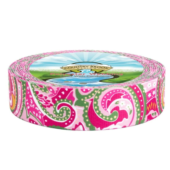 Country Brook Design - Pink Paisley Polyester Webbing (2 Inch, 20 Yards)