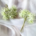 thumbnail image 1 of maskred 1/2/3/5 Plastic Simulation Flower Handmade Artificial Flower Handicraft Decorative Accessory No.02 5PCS, 1 of 6