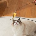 thumbnail image 2 of BESTSKY 3Pcs Kitten Toys,Adjustable Angles Cat Wand Toy,Customizable Play Interaction Cat Wands for Indoor Cats,Style2, 2 of 5