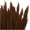 thumbnail image 4 of 35" Dried Plant Natural Foliage Pampas Bouquet with Long Stems, by DecMode, 4 of 8
