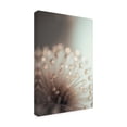 thumbnail image 4 of Canvas Wall Art - Treechild 'Glassy Flower' Wall Art for Living Room, Bedroom, or Office D?cor by Trademark Fine Art - 22 x 32 Inches, 4 of 4