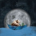 thumbnail image 2 of Nieman, Rachel 20x20 White Modern Wood Framed Museum Art Print Titled - Bear Rowing in the Sea, 2 of 4