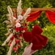 thumbnail image 3 of Gran lazo rojo trenzado con colas para decorar el árbol de Navidad y coronas navideñas, decoración para la puerta de entrada., 3 of 7