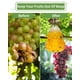 thumbnail image 5 of Trampa para macetas de abejas Vhermosa 2 unidades cazador de avispas ecológico duradero, 5 of 7