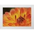 thumbnail image 3 of Dana Styber 14x11 White Modern Wood Framed Wall Art Titled - Orange Flame, 3 of 5
