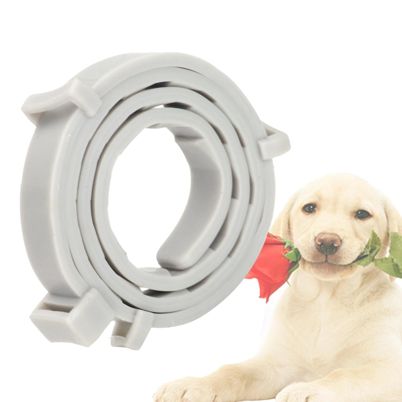 Neckband Cat Neckband cat small medium large medium dogs adjustable waterproof Puppy Neckband Neck Belt 62cm and 38cm Walmart