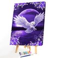 thumbnail image 2 of Wdftyju Pintura al óleo por número Night Owl Oil Digital Picture Home Wall Decor para regalo Wdftyju 6uk3ee6qa2le4vb5, 2 of 9