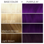 Arctic Fox Semi Permanent Hair Dye 8 Oz. (Purple Rain)