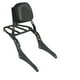 thumbnail image 1 of Sissy Bar para motocicleta,Respaldo desmontable para motocicleta con portaequipajes,Respaldo del pasajero trasero con cojín,Conjunto de respaldo de pasajero desmontable para, 1 of 9