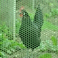 thumbnail image 3 of Weiweiguan 1 Rouleau Filet de Protection Hexagonal en Plastique pour Clôture de Jardin, 3 of 6