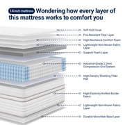 Avenco Luna 14 Medium Hybrid Mattress, Queen Size