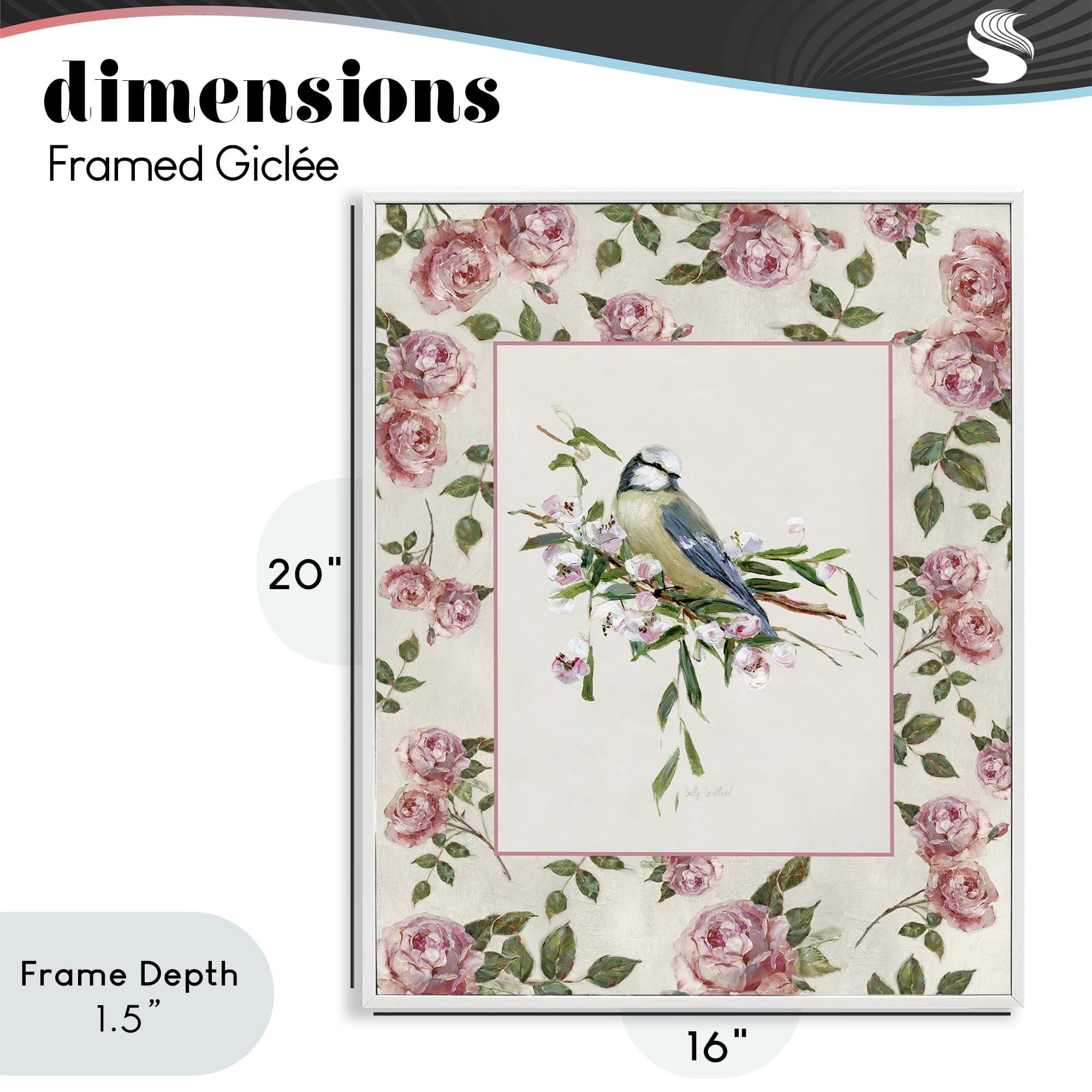 Stupell Industries Dainty Roses & Perched Bird White Framed Giclee Art, design by Sally Swatland