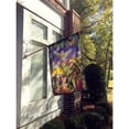 thumbnail image 3 of Carolines Treasures PRS4008CHF Night Owl Iguana Butterfles Flag Canvas House Size  Large multicolor, 3 of 4