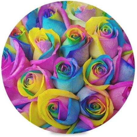 

Hyjoy Rainbow Rose Round Placemats Set of 6 Non-Slip Heat Resistant Washable Table Mats for Kitchen Dining Room Party Decor