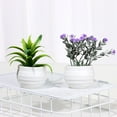 thumbnail image 5 of Mini Garden Home Decoration Fake Flowers Office Table Potted Ornaments Artificial Aloe Plants Bonsai Simulated Tree Pot Plants A, 5 of 8