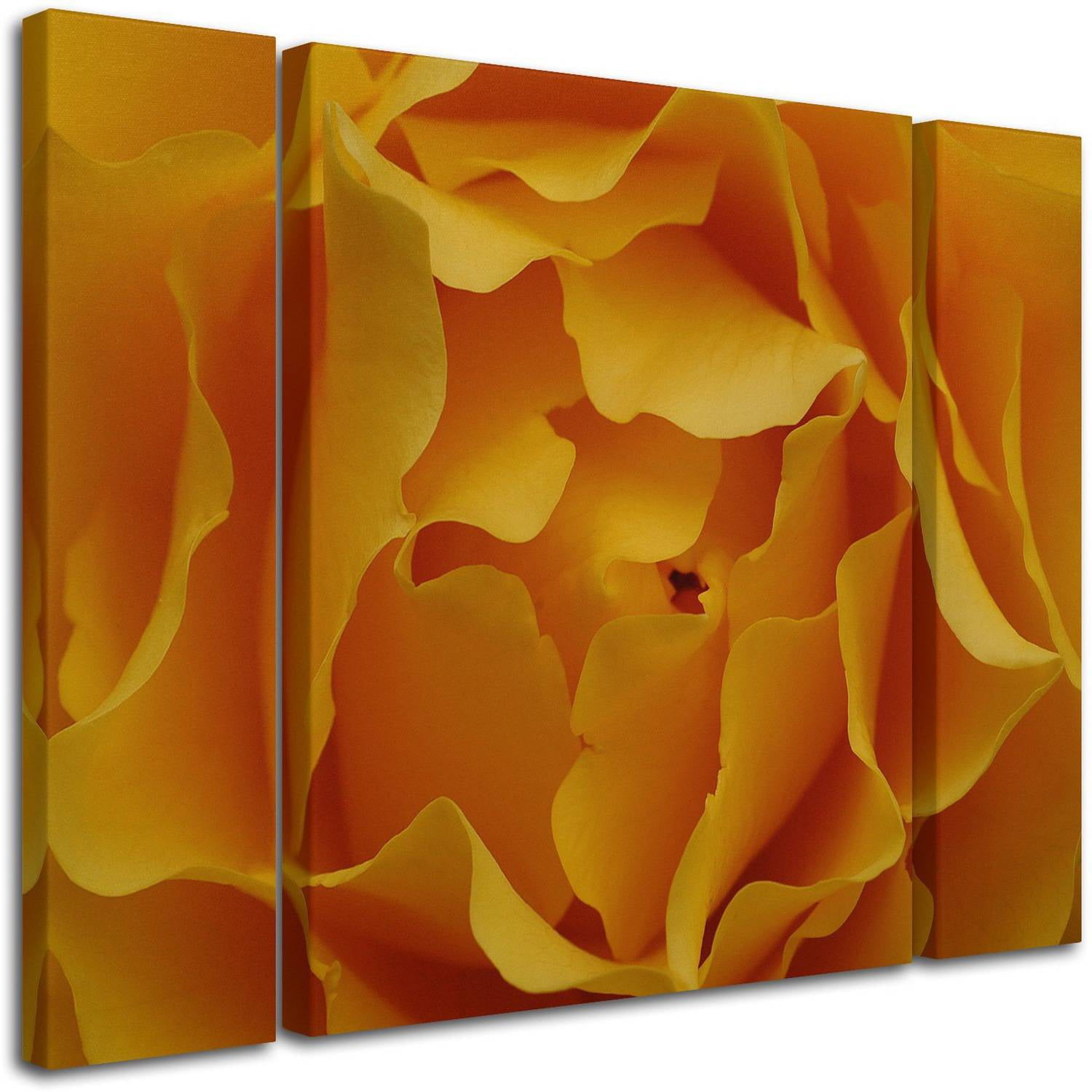 Kurt Shaffer "Hypnotic Yellow Rose" Multi Panel Art Set
