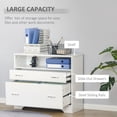 thumbnail image 4 of Vinsetto Lateral File Cabinet Filing Cabinet for Hanging Letter Sized Files, 4 of 10