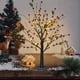 thumbnail image 1 of Luz luminosa para la decoración interior del hogar | Lámpara de acento navideña | LED Blanco Cálido | Decoración de escenas para fiestas de Navidad | Alimentado por pilas | 21,65 in | 1 PC, 1 of 6