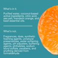 thumbnail image 3 of Jabón para platos Public Goods Natural Mandarin Basil 473 ml, 3 of 5