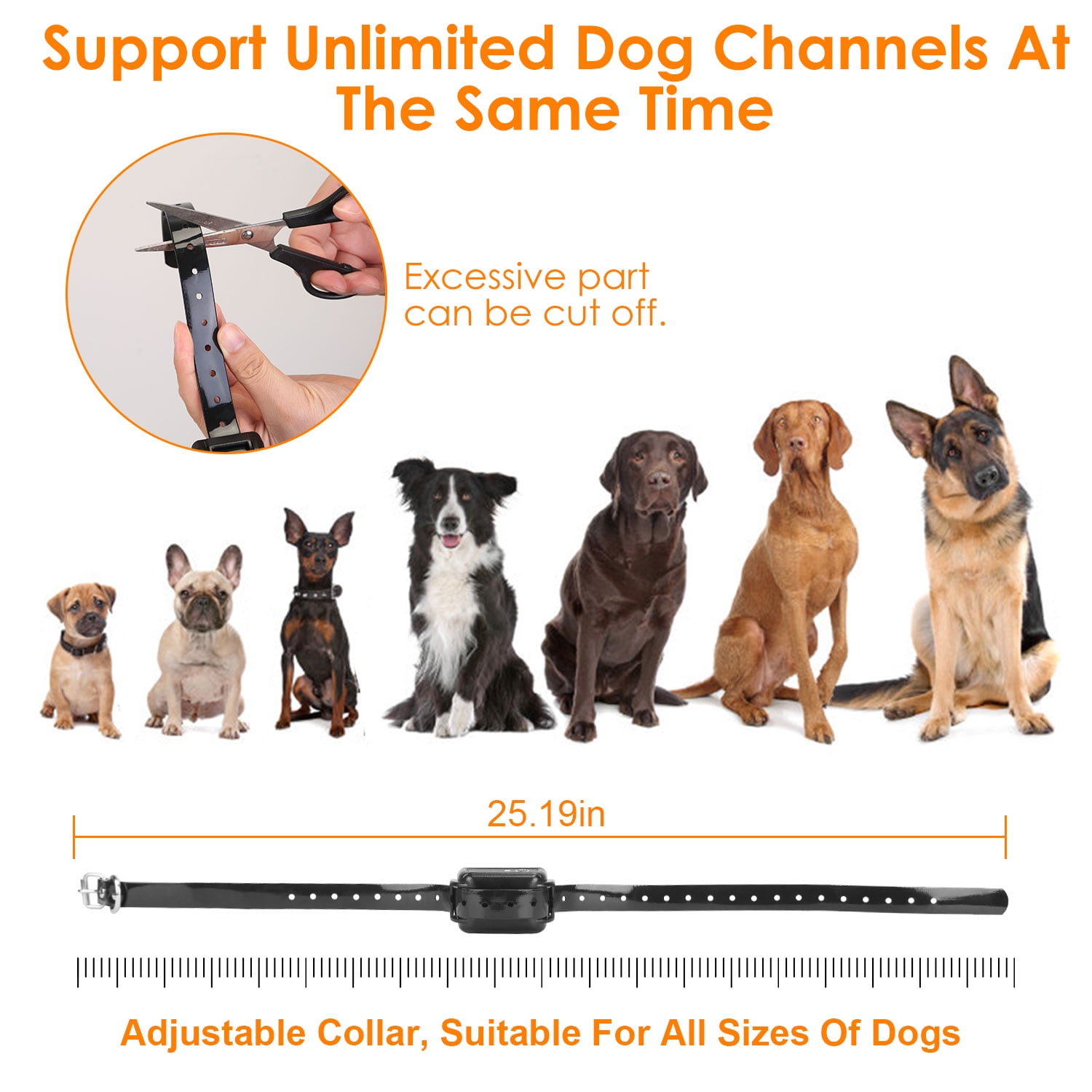 Wireless Dog Fence System TeqHome Electric Fence for Dog with 1 Collar Receiver with GPS Location Monitor for All Dogs