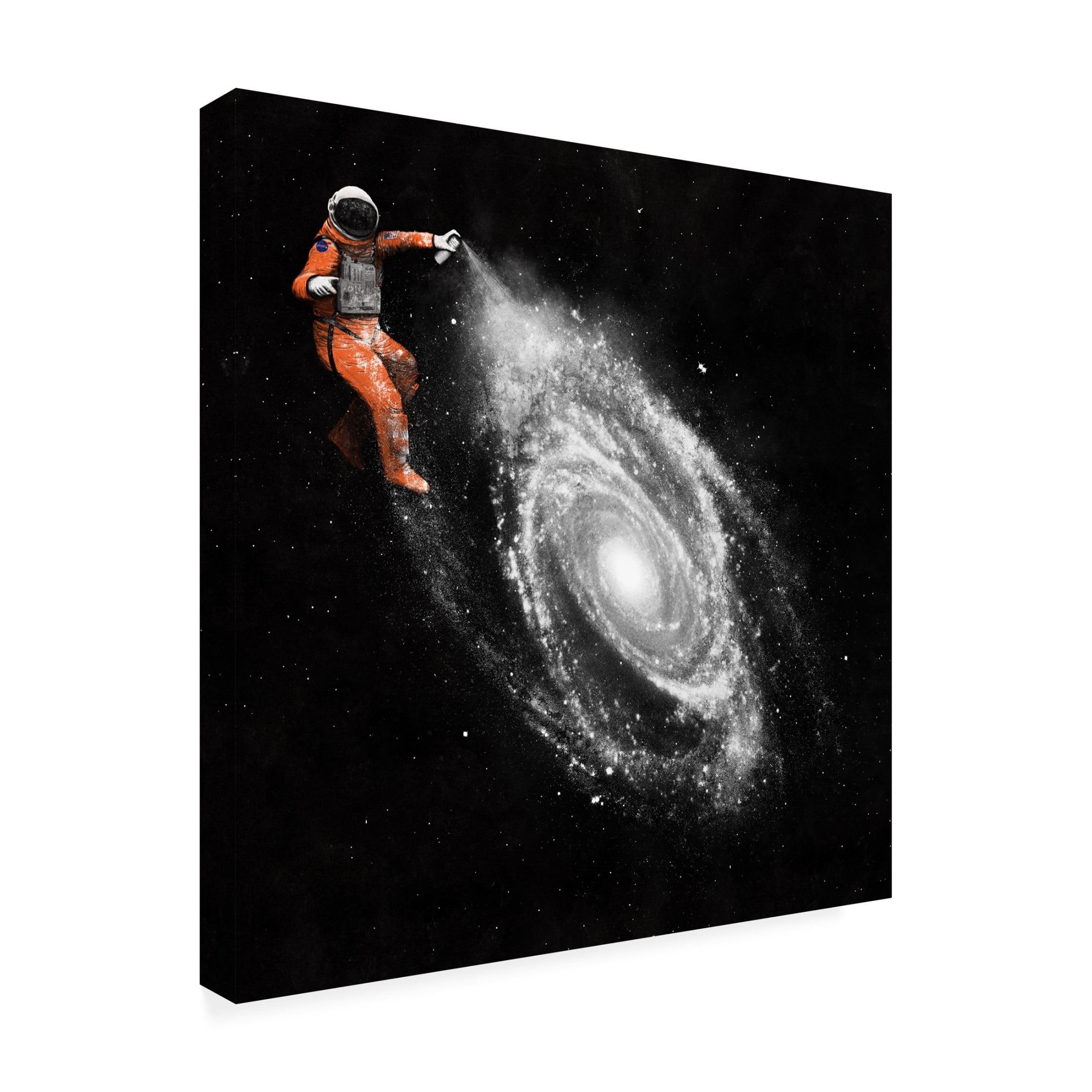 Trademark Fine Art Florent Bodart  Space Art aaa Canvas Wall Art