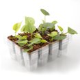 thumbnail image 3 of Procurement: Instructions For Ordering Must Be Without Logo Procurement: Minimum Order Of 10 Sets 6pc/sold 12-hole Hole Tray Transparent Material: PET, 3 of 8