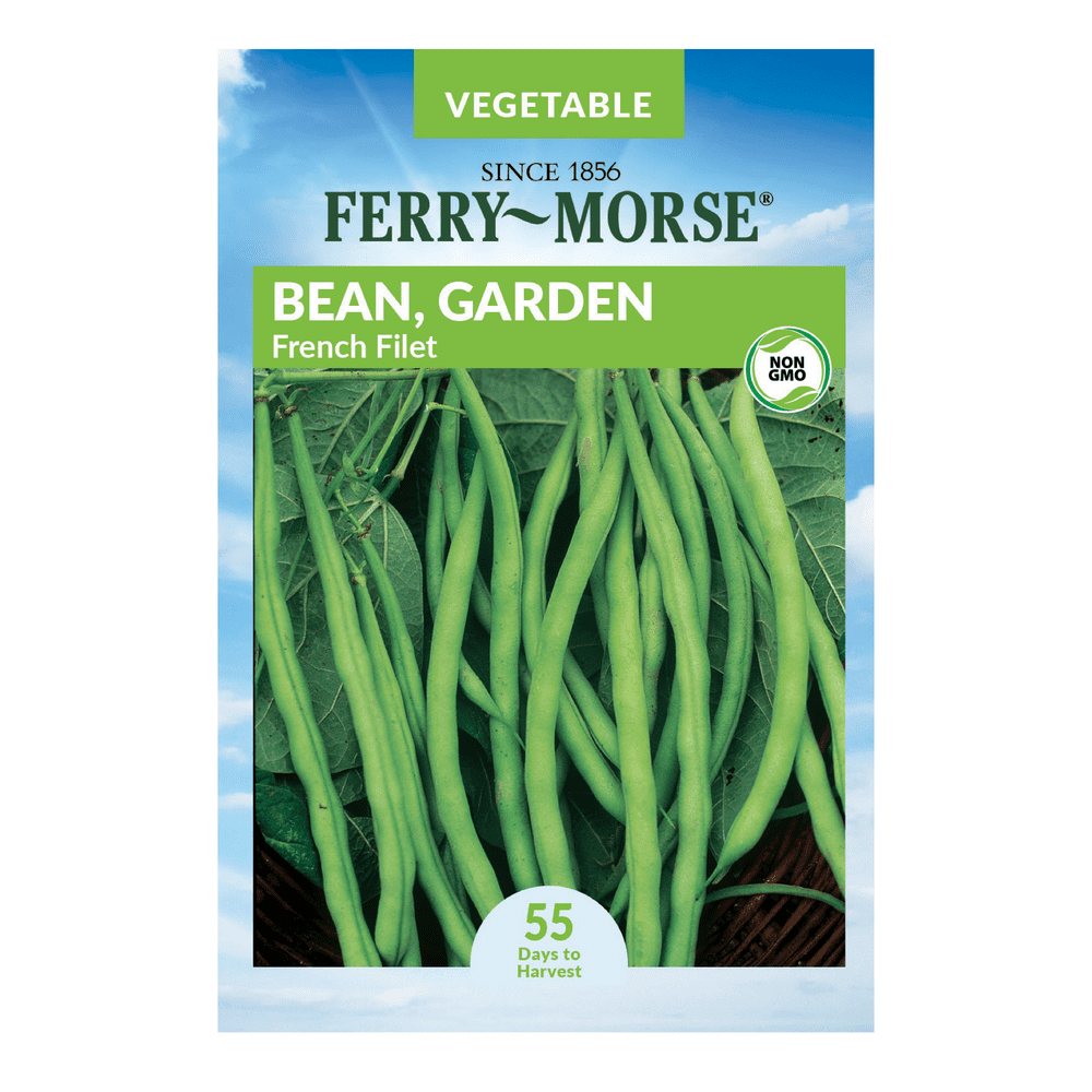 FerryMorse French Filet Bean Seeds Since 1856, NonGMO, Guaranteed