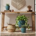 thumbnail image 3 of 6 Inch Ceramic Plant Pots with Drain Hole & Saucer, Ceramic Pots for Indoor Plants - Succulent, Snake Plant, Money Tree, Aloe Vera, 3 of 9