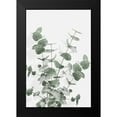 thumbnail image 2 of 1x Studio III 13x18 Black Modern Framed Museum Art Print Titled - Eucalyptus Creative 16, 2 of 5