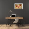 thumbnail image 3 of Talen, Nel 14x11 White Modern Wood Framed Museum Art Print Titled - Poppy Seeds, 3 of 4