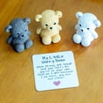 thumbnail image 4 of Dserhfy Little Bear in Box My Little Worry Bear Miniature Pocket Hug Bear with Positive Card Emotional Support Inspirational Gifts for Friends, 4 of 8