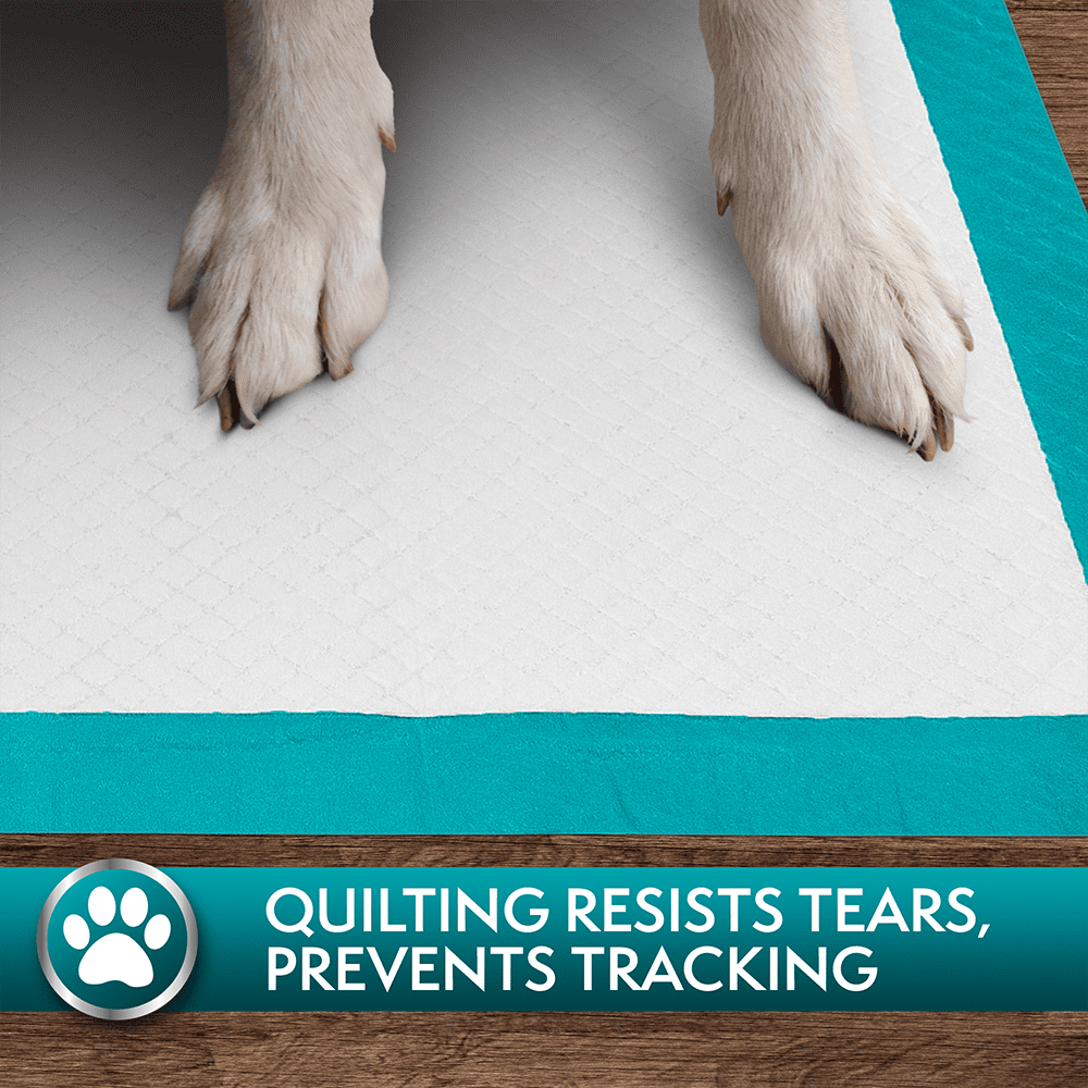 Simple Solution Super Absorbent Training Pads for Dogs - XL - 28" x 30" - 50 Count
