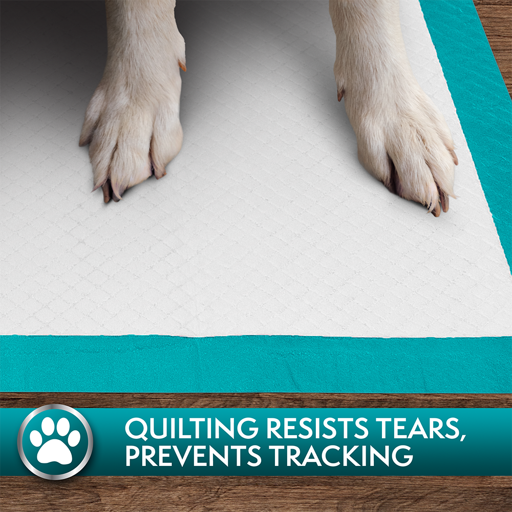 Simple Solution Super Absorbent Training Pads XL 50-Pack photo 7